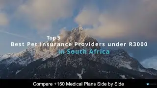 Best Pet Insurance Providers Under R3000 in South Africa