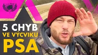 DALŠÍCH 5 NEJVĚTŠÍCH CHYB VE VÝCVIKU PSA (DÍL 2)