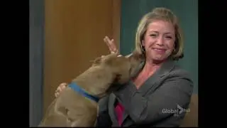 BCTV noon news: dog licking the news host