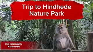 Vivo X200 FE 4K Video Test  : Relaxing Hike at Hindhede Nature Park  in 4K Shot with #vivox200fe