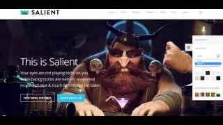 Salient Wordpress Theme Download Free