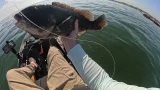 Kayak Fishing for Blackfish (Tautog) in Long Island Sound | Connecticut Inshore Spring Fishing!