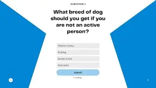 Test your dog knowledge with our fun and interactive Dog Quiz!