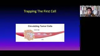 Prof Azra Raza's Lecture for The Human Glycome Project Researchers