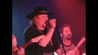 Lynyrd Skynyd I Know A Little performed by The One Percent Band