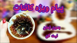 فال قهوه دریم 🔮 ☕️ پیام ویژه کائنات برای تو 🧚‍♂️🧚‍♂️✨✨