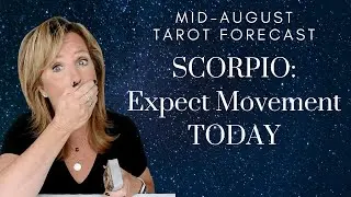 SCORPIO : Expect Movement TODAY | Mid-August 2023 Monthly Zodiac Tarot Reading