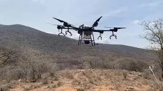 Astral Aerial uses drones to SPRAY locusts in Samburu, Kenya