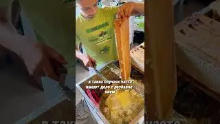 ЕСЛИ МЕД НЕ ЗАСАХАРИЛСЯ  #apiary #экомед #honey #купитьмед #bee  #рецепты #рецепт #beekeeper