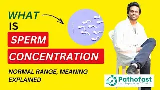 Sperm Concentration - Meaning, Normal Range, Calculation