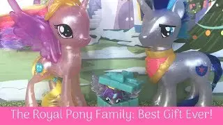 My Little Pony BEST GIFT EVER! Princess Cadence, Shining Armor, and Flurry Heart Set Review!
