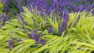 Make a small garden seem bigger
