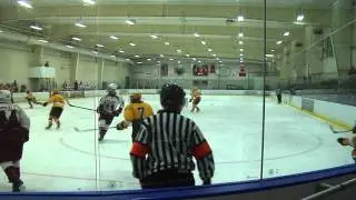 Rowan Hockey vs Temple 12/14/14 - Full Game