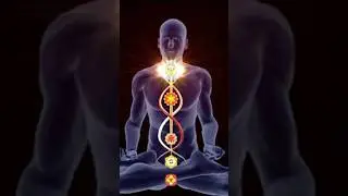 🐍💫 Is There A Connection Between The Vagus Nerve and The Kundalini? 🧘&zwj;♂️🧬