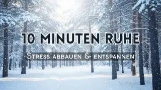 Wintermeditation ❄️ 10 Minuten tiefe Ruhe & Entspannung im verschneiten Wald