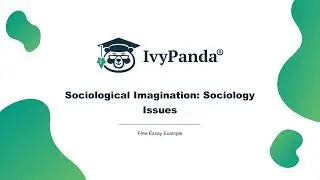 Sociological Imagination: Sociology Issues | Free Essay Example