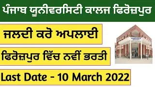Punjab University College Ferozpur Jobs 2022/punjab university jobs 2022/punjab university/Ferozpur