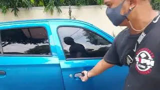 2019 suzuki alto 800