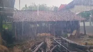 Peaceful Night Heavy Rain in a Remote Village 🌧️ Sounds for Deep Sleeping