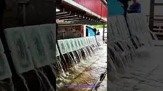 Industrial Ice Making: How Large Ice Blocks Are Produced in Bulk
