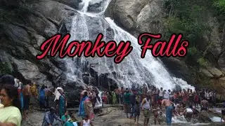 Monkey falls or Kaviyaruvi best place in one day trip