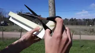 Colocaci&oacute;n de la barrera antihormigas.