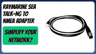 REVIEW (2026): Raymarine Sea Talk-Ng to NMEA Adapter. Features