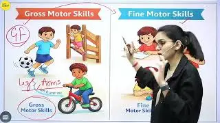 CDP CTET EXAM 2026 || मैराथन  By - Himanshi Ma'am 