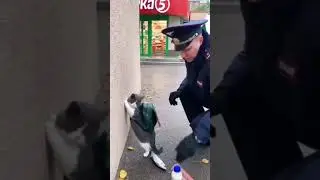 Шмон