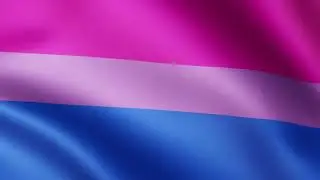 Bisexual Pride Flag Animation | LHBTIQ | Flags of the World