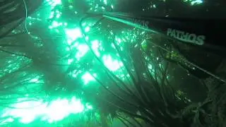 Fe&ntilde;asub Pesca Submarina Chile - Esteban Sierra Morales - Spearfishing Chile