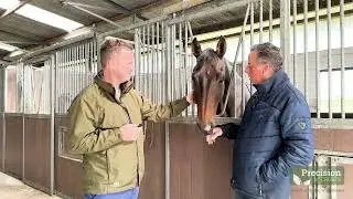 Precision Microbes Horse & Foal - Ronan Kinsella Testimonial