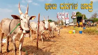 Ghati Cattle Fair 2023 - Part 2 | Hallikar Cattle Fair in Karnataka