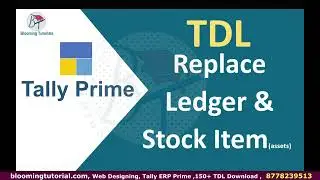 How to Replace Ledger & Stock Item Asset in Tally Prime TDL Tamil | TDL download | TDL Package