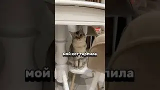 Кот терпила. зубной гель арт. Wb: #WW253901  (Копируй с буквами WW)
