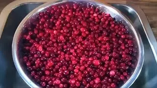 Переработка многолетней дикой клюквы