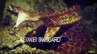 True Blood Introduction (