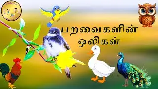 பறவைகளின் பெயர்கள் & ஒலிகள் | Bird Tamil names & sounds | #tamilrhymes | #பறவைகள் | @AmbuluKutty |