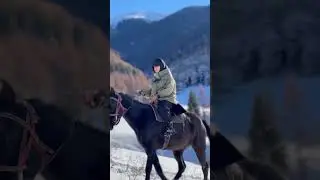 Snow covered white background #Horse ride#,-20temperature#