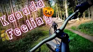 SPECIALIZED Enduro 2021 Test I Flowtrail Stromberg erster Crash🤕 🇨🇦🍁 Kanada feeling bestes Wetter 🍁🍁
