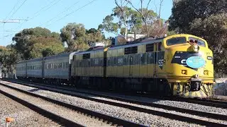 #GM10 & #GM22 leads AK82 through Dudley Park