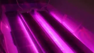 Watch How the LumiGrow TopLight Lights Up Underwater!