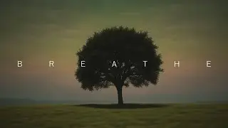 Breathe of the Meadow