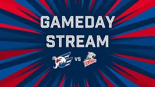Gameday-Stream: Adler Mannheim VS. N&uuml;rnberg Ice Tigers