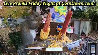Money Period b/w Free Stuff (PRANK CALL TWOFER)