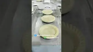 Commercial Pastel De Nata Making Machine|Tart Press Machine Price