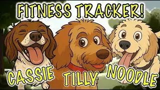 Doggy fitness tracker test! Whose stats are the craziest??! 😱