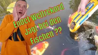 1499 Legoschienen im Nachbargarten verlegt 😲🤗