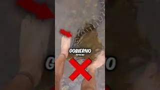 Esta es la Isla PROHIBIDA de Brasil 🤯😭