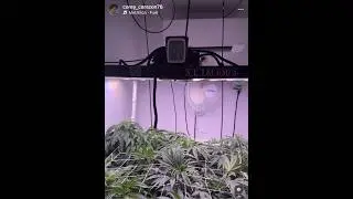 The Slim 650s getting these ladies ready for the BIG flip 🌸🔥⛽️ #boutiquebuds